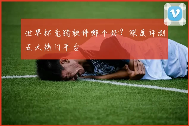 世界杯竞猜软件哪个好?深度评测五大热门平台