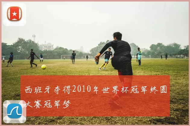 西班牙夺得2010年世界杯冠军终圆大赛冠军梦