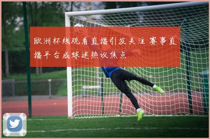 欧洲杯线观看直播引发关注 赛事直播平台成球迷热议焦点
