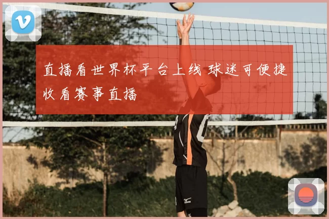 直播看世界杯平台上线 球迷可便捷收看赛事直播