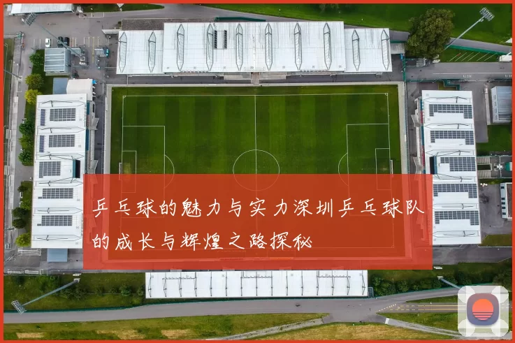 乒乓球的魅力与实力深圳乒乓球队的成长与辉煌之路探秘