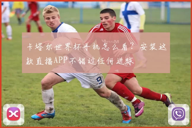卡塔尔世界杯手机怎么看?安装这款直播APP不错过任何进球