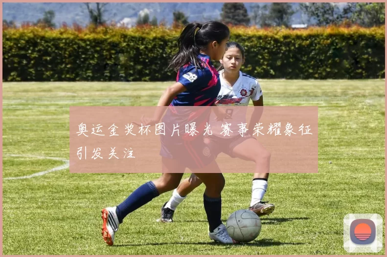 奥运金奖杯图片曝光 赛事荣耀象征引发关注