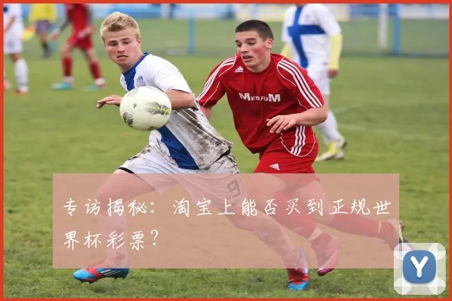 专访揭秘:淘宝上能否买到正规世界杯彩票?