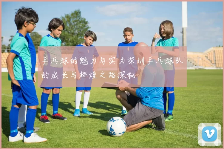 乒乓球的魅力与实力深圳乒乓球队的成长与辉煌之路探秘