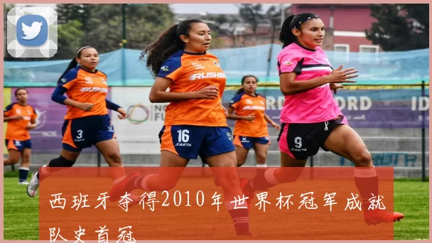 西班牙夺得2010年世界杯冠军成就队史首冠