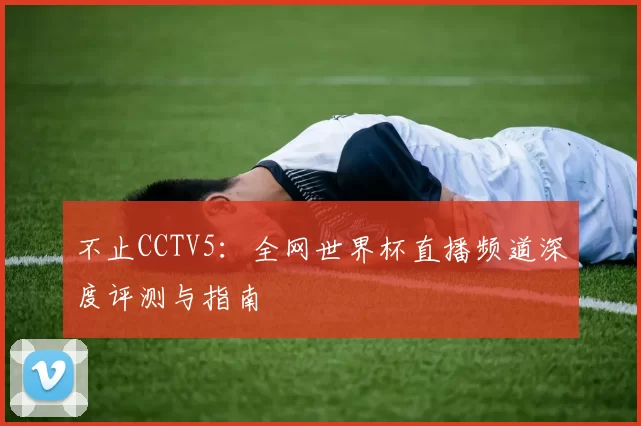 不止CCTV5：全网世界杯直播频道深度评测与指南