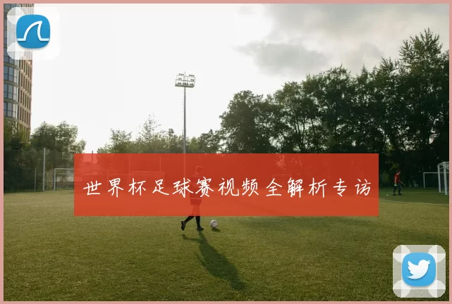 世界杯足球赛视频全解析专访