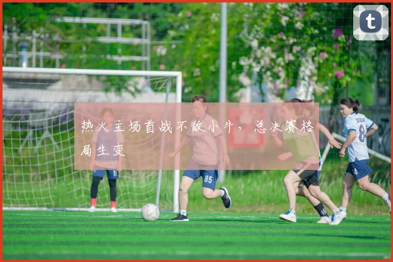 热火主场首战不敌小牛，总决赛格局生变