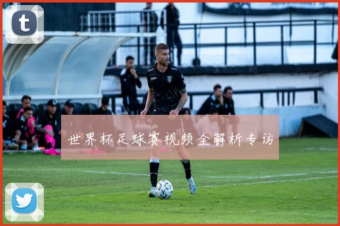世界杯足球赛视频全解析专访