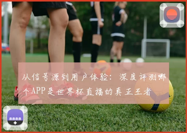 从信号源到用户体验：深度评测哪个APP是世界杯直播的真正王者